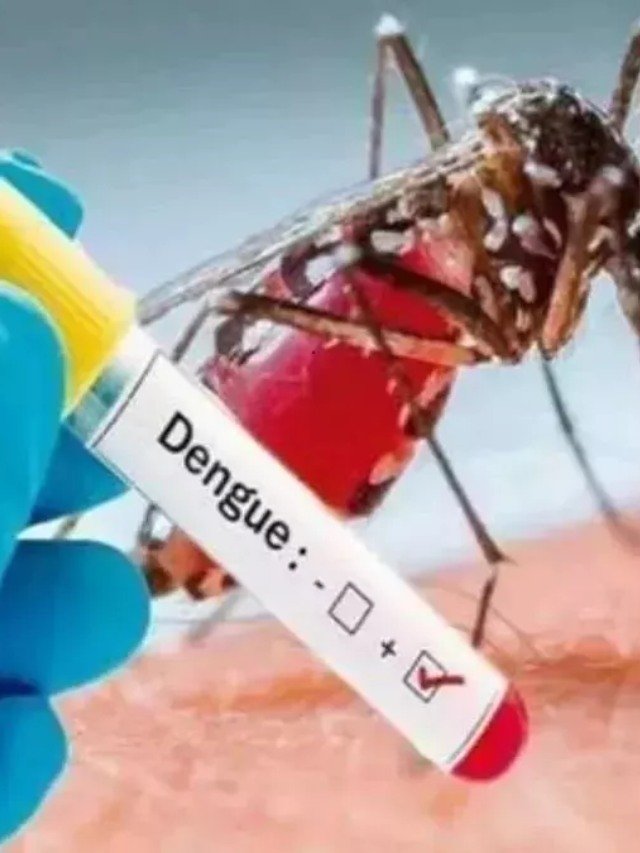 Dengue in Haridwar : बेकाबू हुआ डेंगू का डंक, अब तक 500 नए मामले आए सामने- लोगों में बढ़ रही दहशत